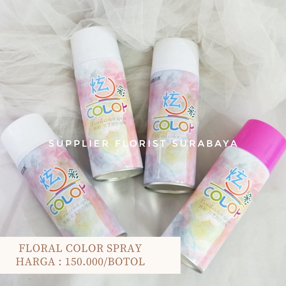 Jual FLORAL COLOR SPRAY CEPAT KERING PENGUBAH WARNA BUNGA ASLI ...