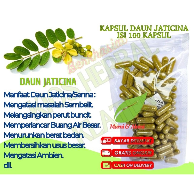 Daun Jati Cina (jaticina) isi 100 kapsul untuk membantu mengurangi lemak tubuh diet