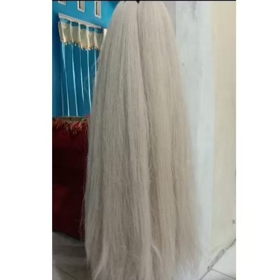 Jual Cemara Rambut Sambung Putih Tulang. | Shopee Indonesia
