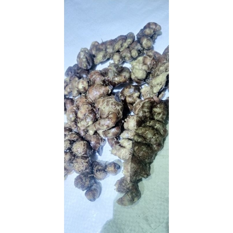 Jual kunyit hitam asli 100 g | Shopee Indonesia