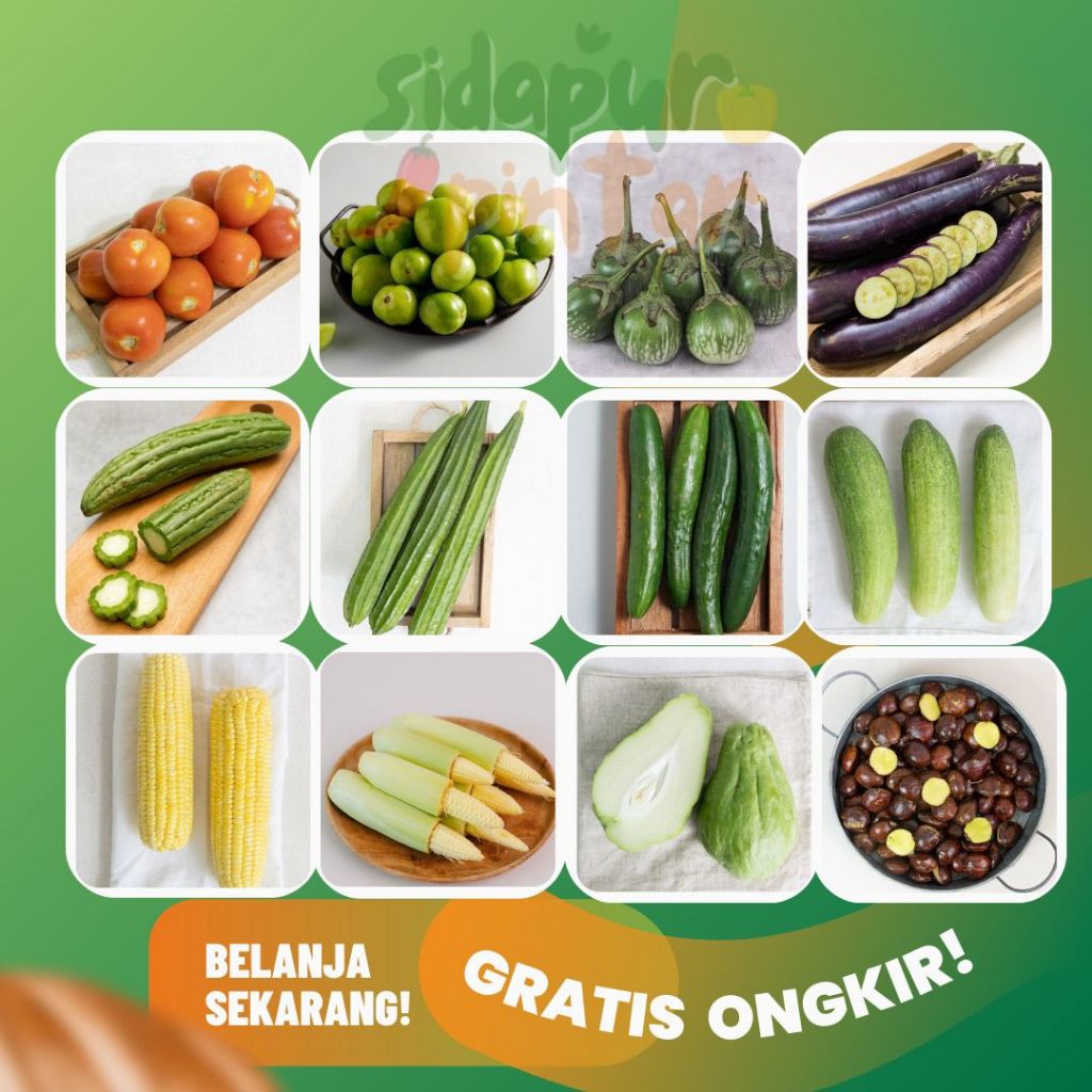 Jual sayuran tomat merah dan hijau terong ungu hijau oyong timun jepang ...