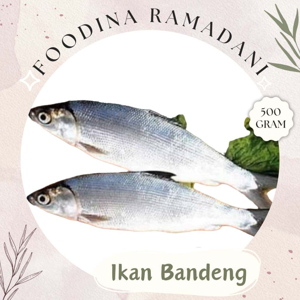Jual IKAN Bandeng - Milkfish Fresh [ Berat 500gr ] Harga Per 0,5 Kg ...