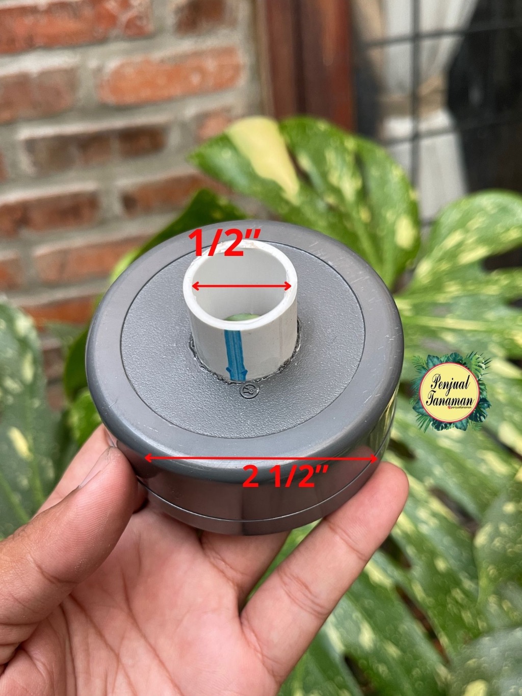 Jual Dop Pipa 2 inch dan 2,5 inchhidroponik | Shopee Indonesia