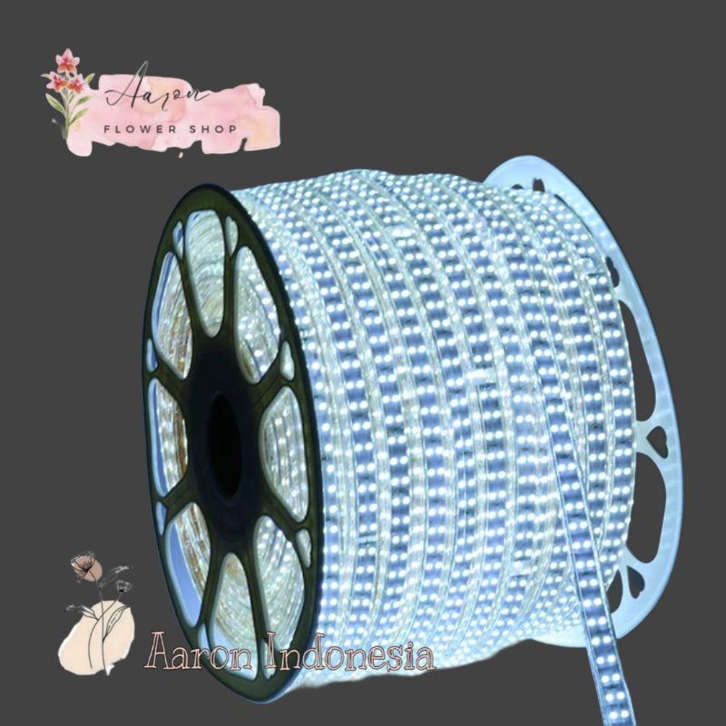 Jual Aaron - Meteran Lampu Led Strip Selang SMD 5050 / Meter / Mode ...