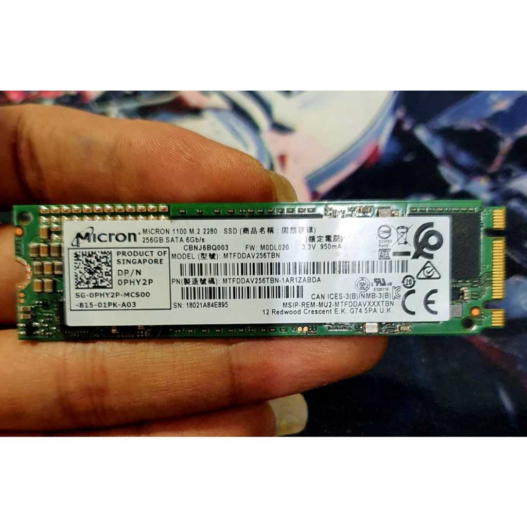 Jual SSD M.2 sata 128Gb 256gb Sentinel 100% M.2 2280 | Shopee Indonesia