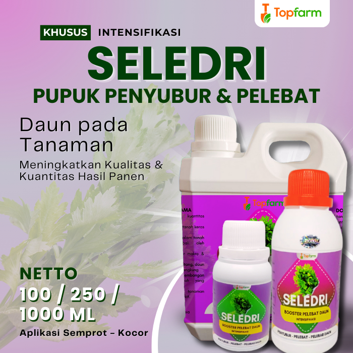 Pupuk Daun Seledri / Pupuk Penyubur Tanaman Seledri / Pupuk Penyubur Daun Seledri /Pupuk Khusus Daun Seledri / Pupuk Booster Seledri / Pupuk Untuk Seledri