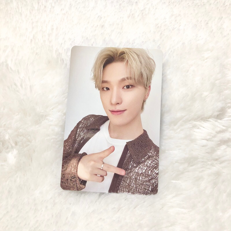 Jual PC DINO SEASON GREETINGS 2024 SG SIGRI SVT SEVENTEEN Shopee
