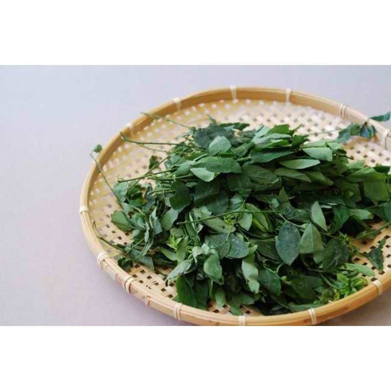 Jual daun katuk, daun sayur katuk | Shopee Indonesia