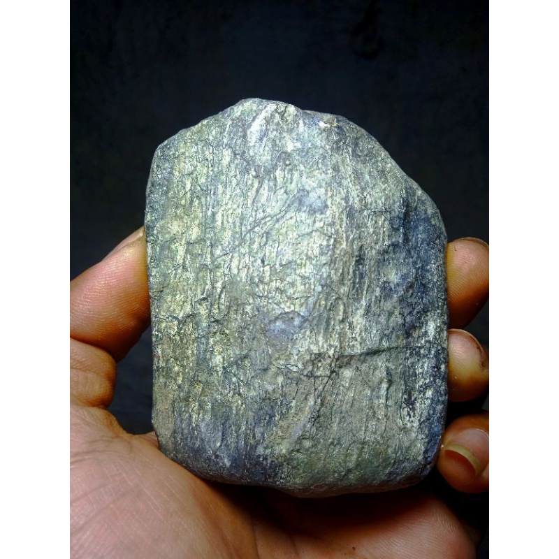 Jual posil tulang hewan purba besar barang sesuai foto | Shopee Indonesia