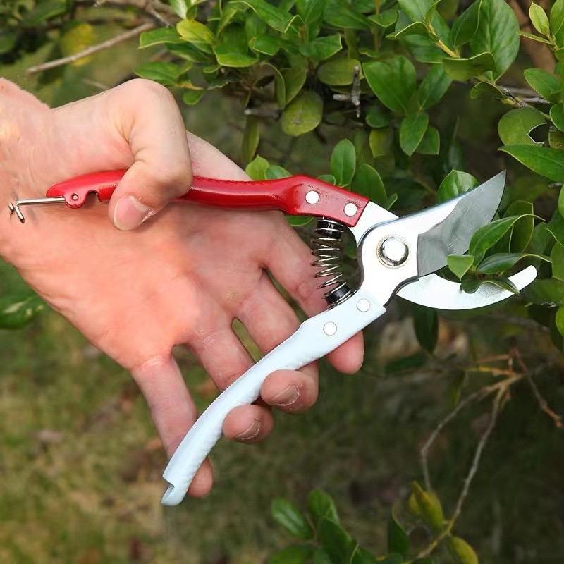Jual GUNTING KEBUN PANGKAS DAHAN RANTING POHON DAUN GUNTING DAHAN BUNGA ...