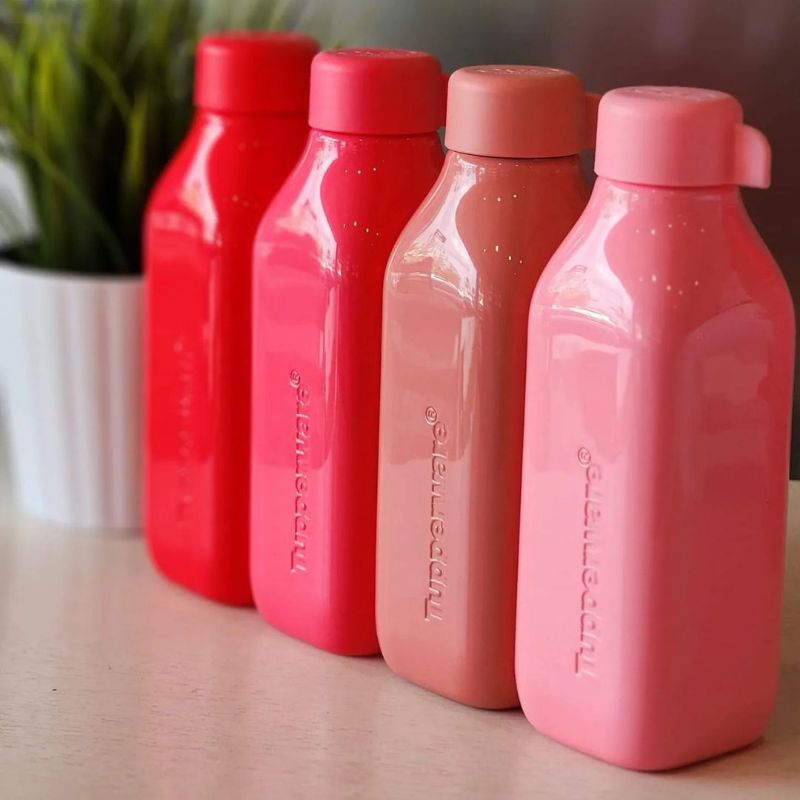 Jual Eco Square 500ml harga 1Pcs | Shopee Indonesia