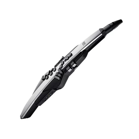 Jual Roland Aerophone Pro AE-30 Digital Wind Instrument - Silver ...