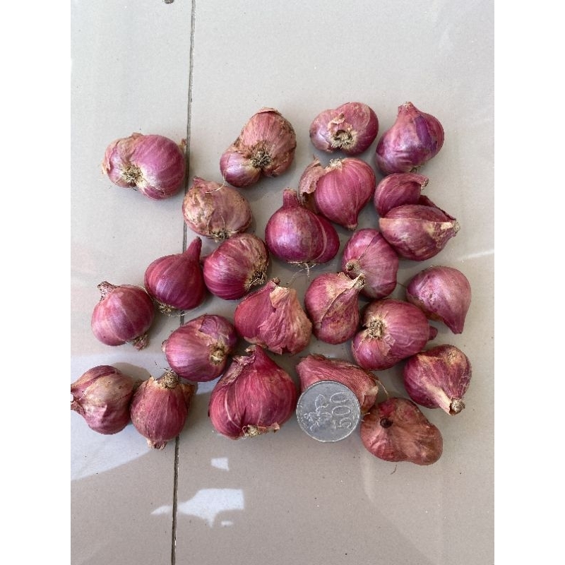 Jual Brambang Bawang Merah Lokal Asli Nganjuk Harga Per 1kg Shopee