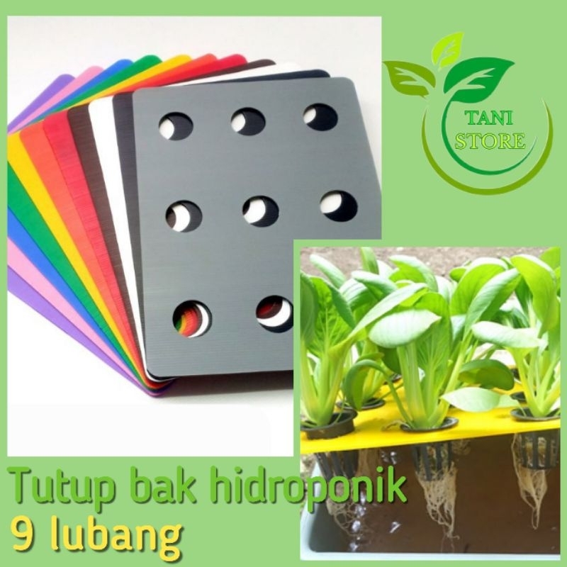 Impraboard tutup bak hidroponik 9 lubang sistem wick