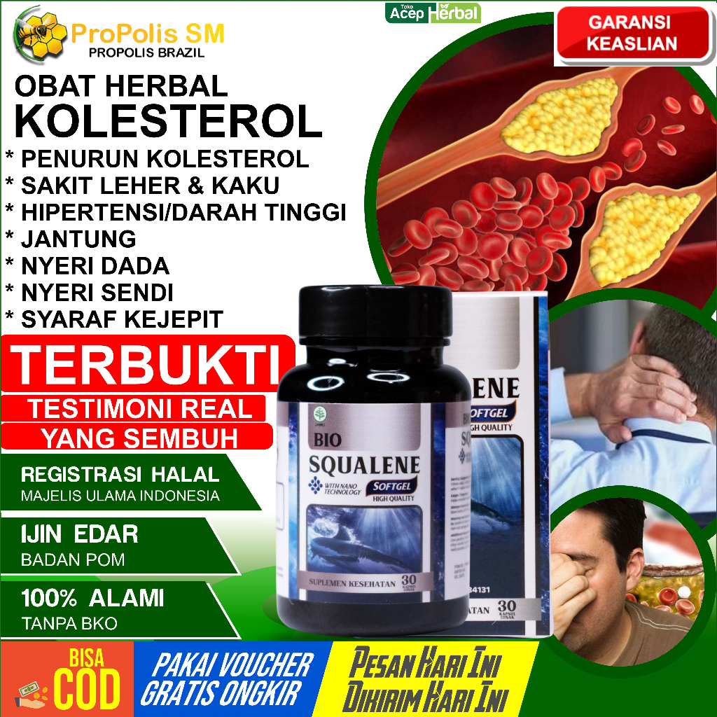 Jual Obat Kolesterol Penurun Kolestrol Tinggi Penghancur Lemak Darah ...