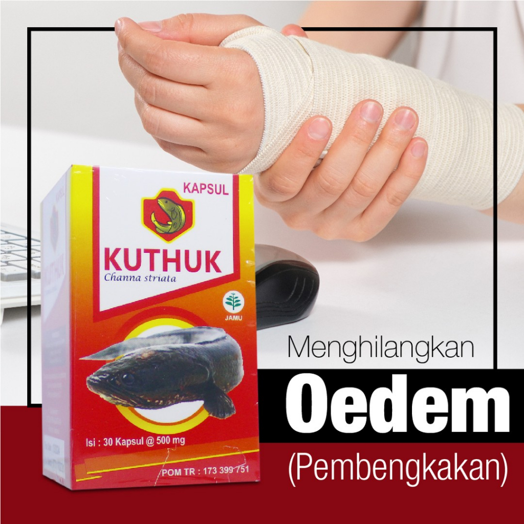 Jual Kapsul Kuthuk Premium Kemasan 30 Kapsul Original Asli Obat