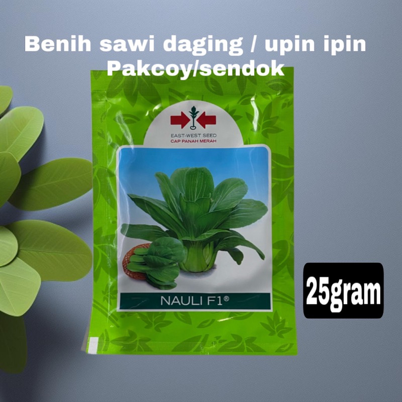 Jual Benih Sawi Sendok Pakcoy Upin Ipin 25gram Shopee Indonesia