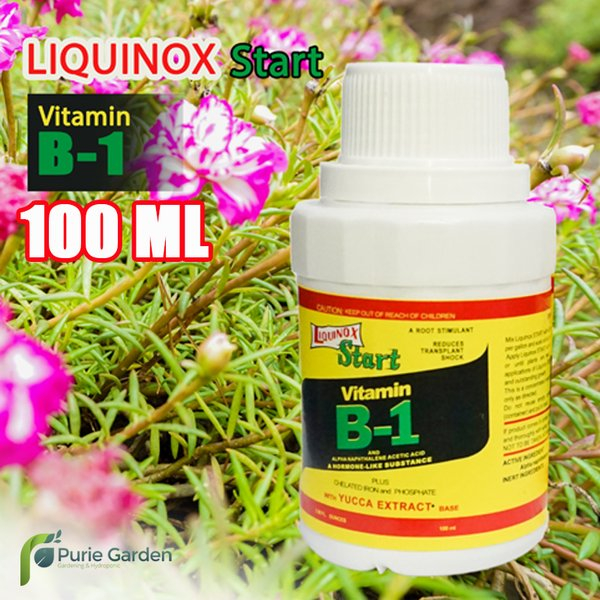 Jual Hormon Perangsang Akar Tanaman Liquinox Start Vitamin B-1 | Shopee ...