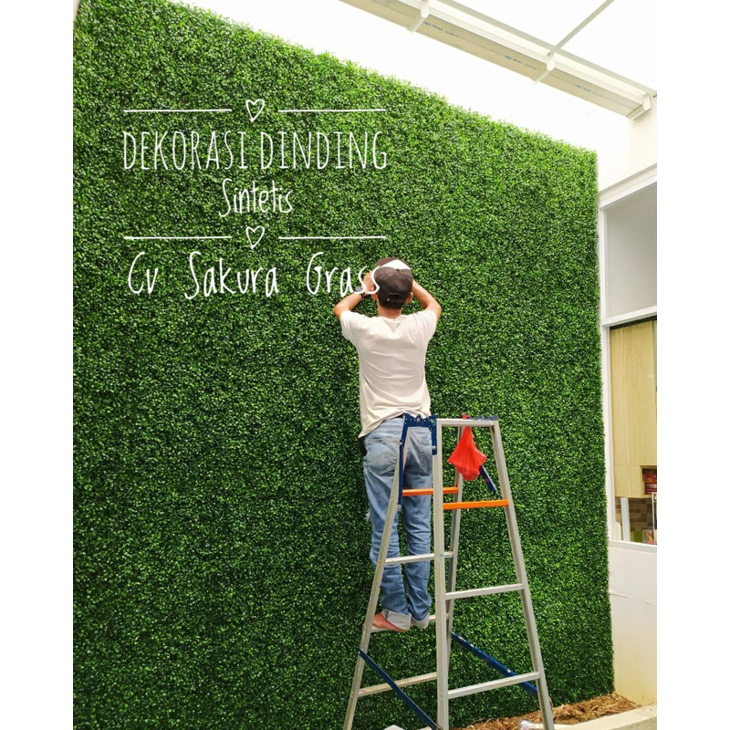 Jual GROSIR DAUN RAMBAT PAKIS RAPAT DAN PADAT UKURAN 40X60 CM UNTUK ...