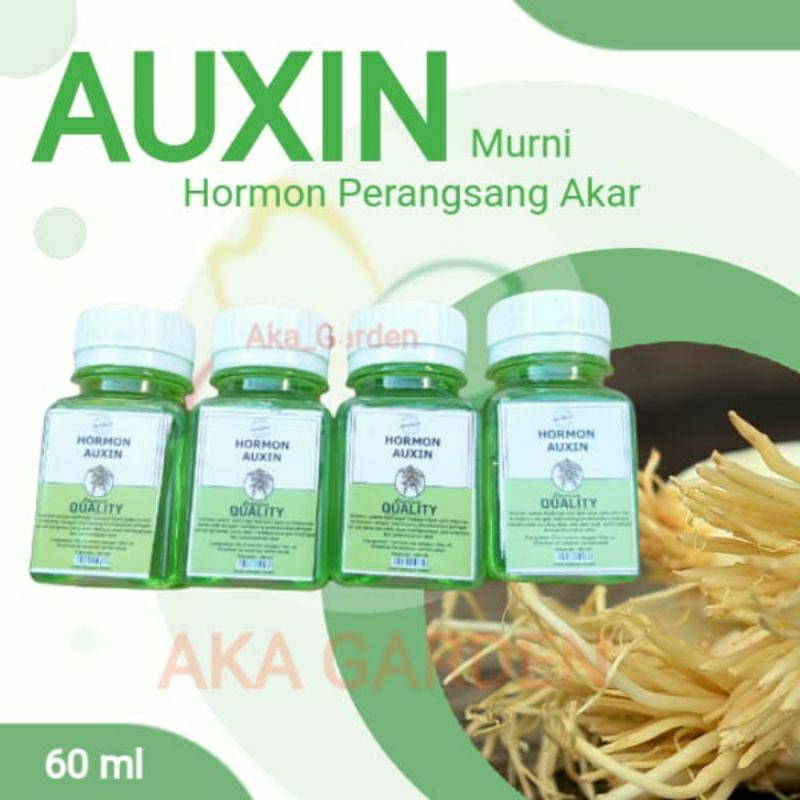 Jual Hormon Auksin/Auxin Perangsang Akar ZPT Tanaman Plant Growth ...