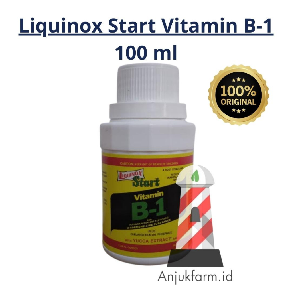 Jual Liquinox Start Vitamin B-1 Pertumbuhan Tanaman | Shopee Indonesia