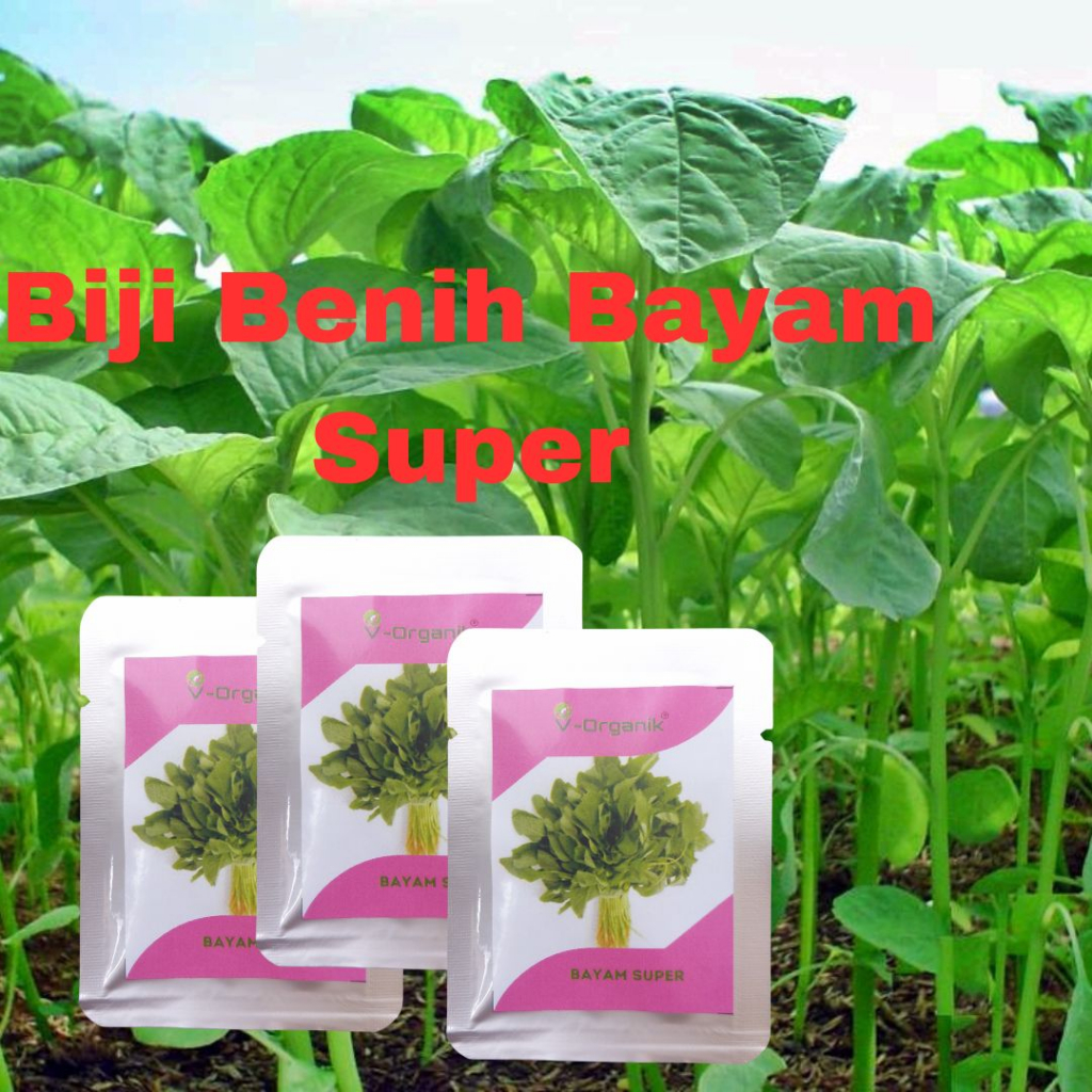 Jual Biji Benih Sayur Bayam Super Benih Unggul Shopee Indonesia