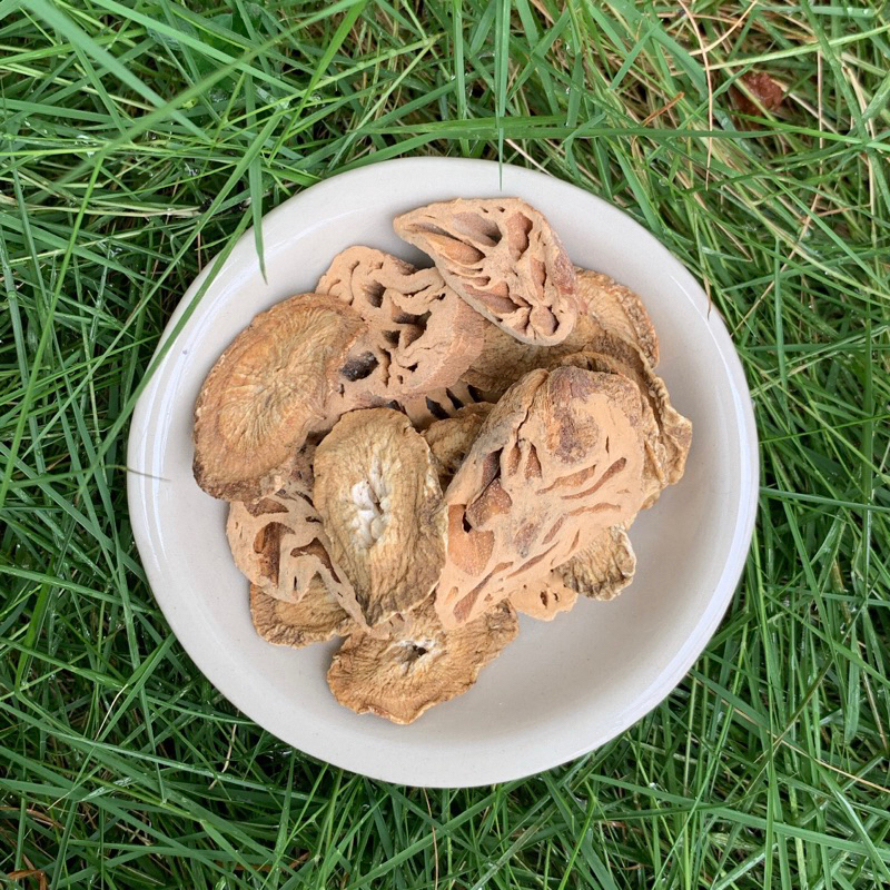Jual Chew Snacky | Dried Lotus Root Mix Burdock Root | Chew Toys ...