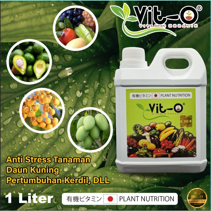 Jual Pupuk Vit O Plant Nutrition Kemasan 1 Liter1000ml Shopee Indonesia 0914