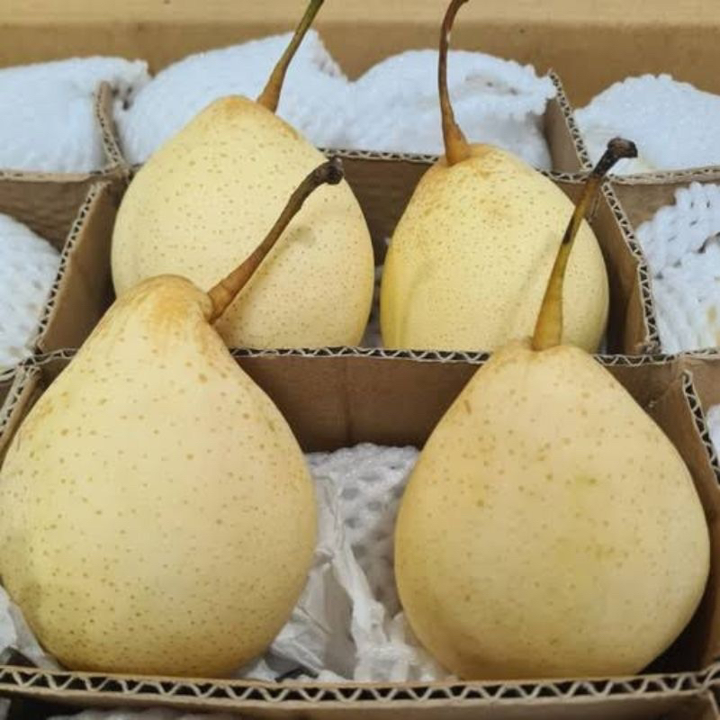 Jual Pear Yalie Buah Pir Yalie Super 1kg Shopee Indonesia 