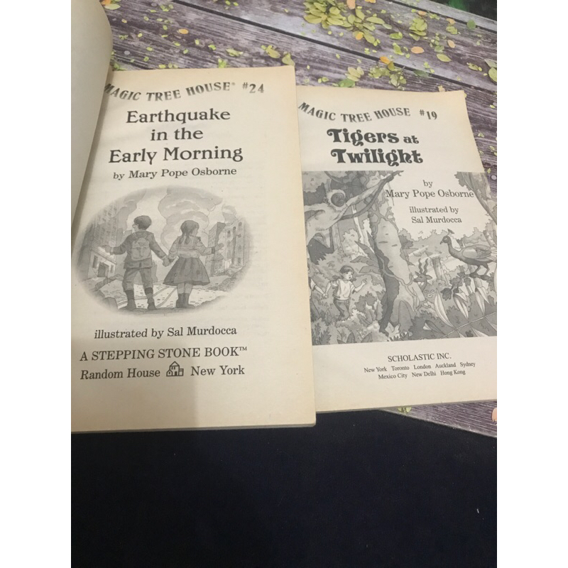 Jual MAGIC TREE HOUSE | Shopee Indonesia