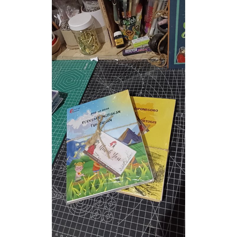 Custom Pop Up Book