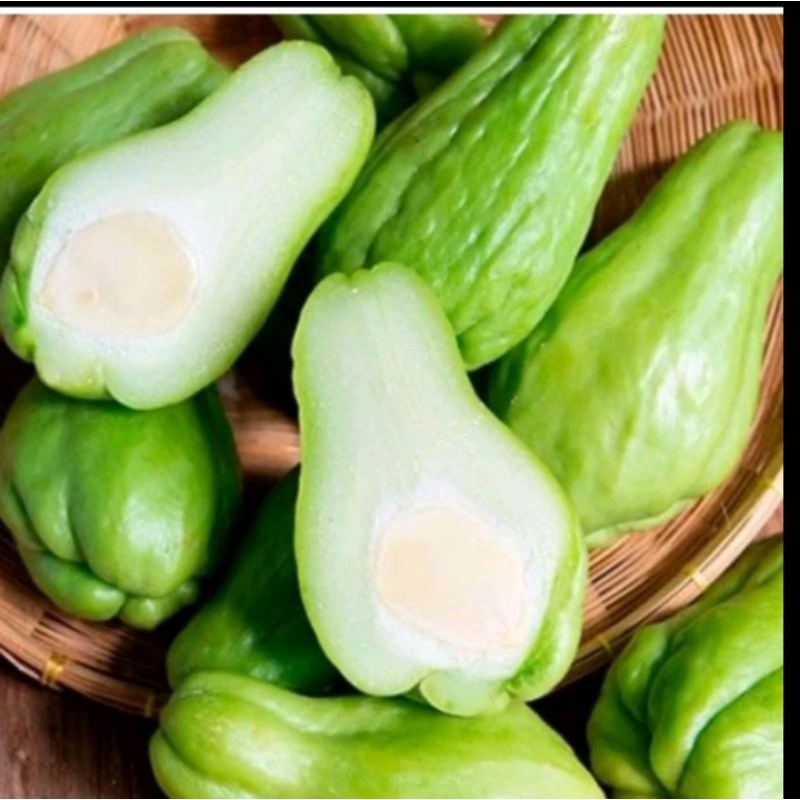 Jual Labu Siam Manisa Fresh Sayur Segar | Shopee Indonesia