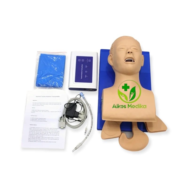 Jual Phantom Manikin Airway Intubasi Simulator Human Trache Gl8407