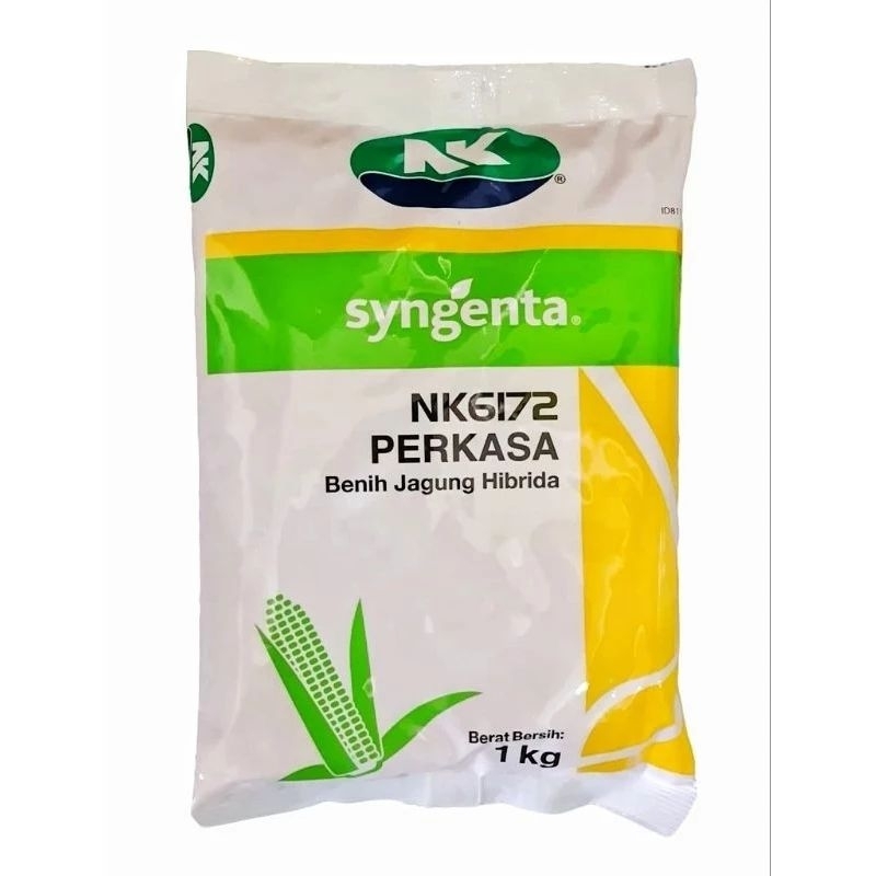 Jual Benih Jagung Hybrida NK6172 PERKASA Kemasan 1kg | Shopee Indonesia