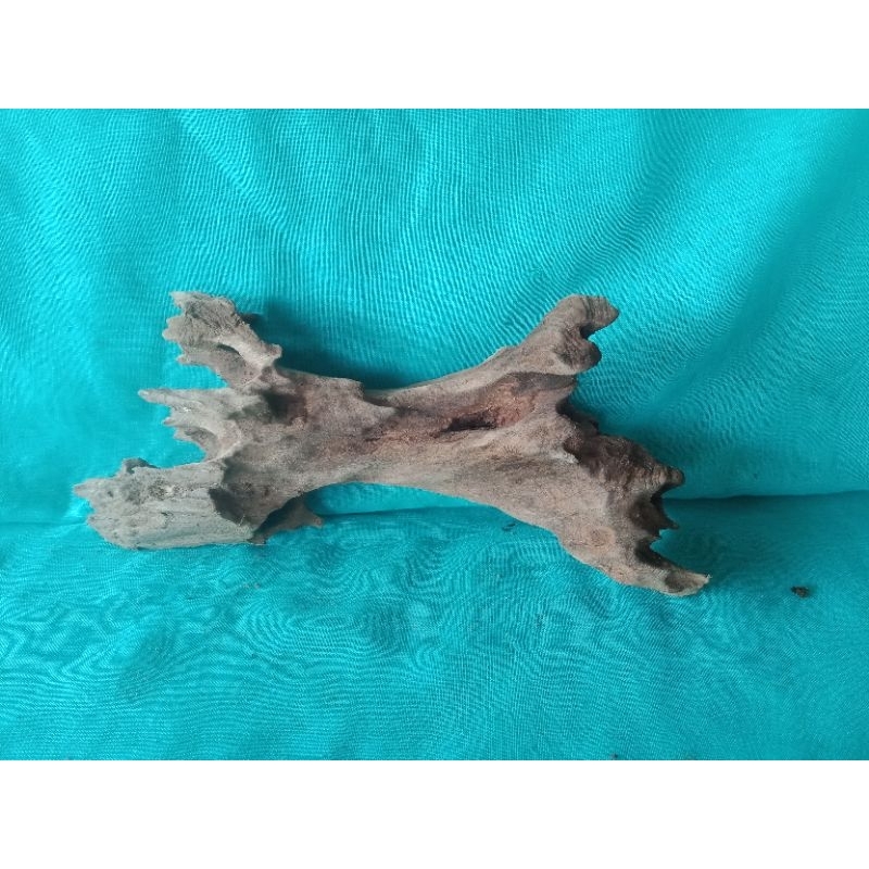 Jual kayu rentek sudah tenggelam | Shopee Indonesia