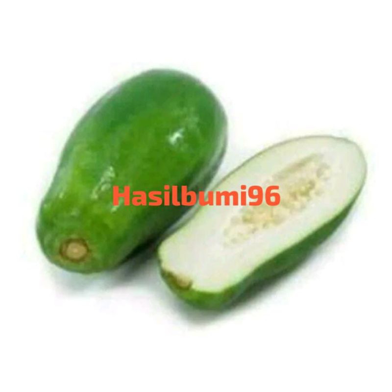 Jual Buah Pepaya Muda 1kg Shopee Indonesia