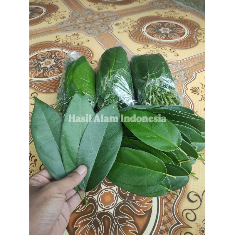 Jual Daun Cincau Hijau Organik Minuman Herbal Per Kantong Shopee