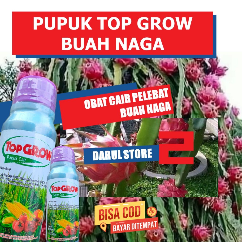 Jual Pupuk Buah Naga Pelebat Buah Naga Penyubur Akar Daun Batang