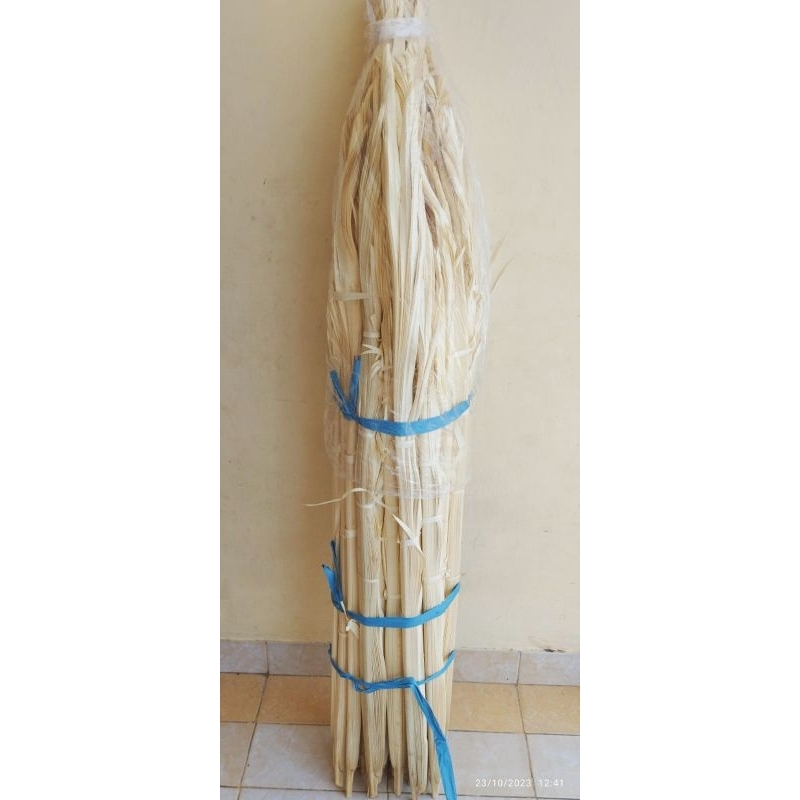 Jual Busung ibung putih/busung Sulawesi/pcs | Shopee Indonesia