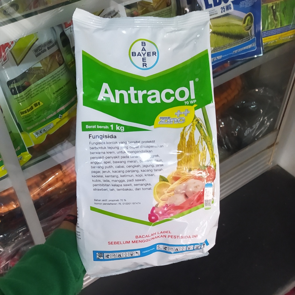 Jual Antracol Kg Fungisida Kontak Zink Pengendali Jamur Shopee Indonesia