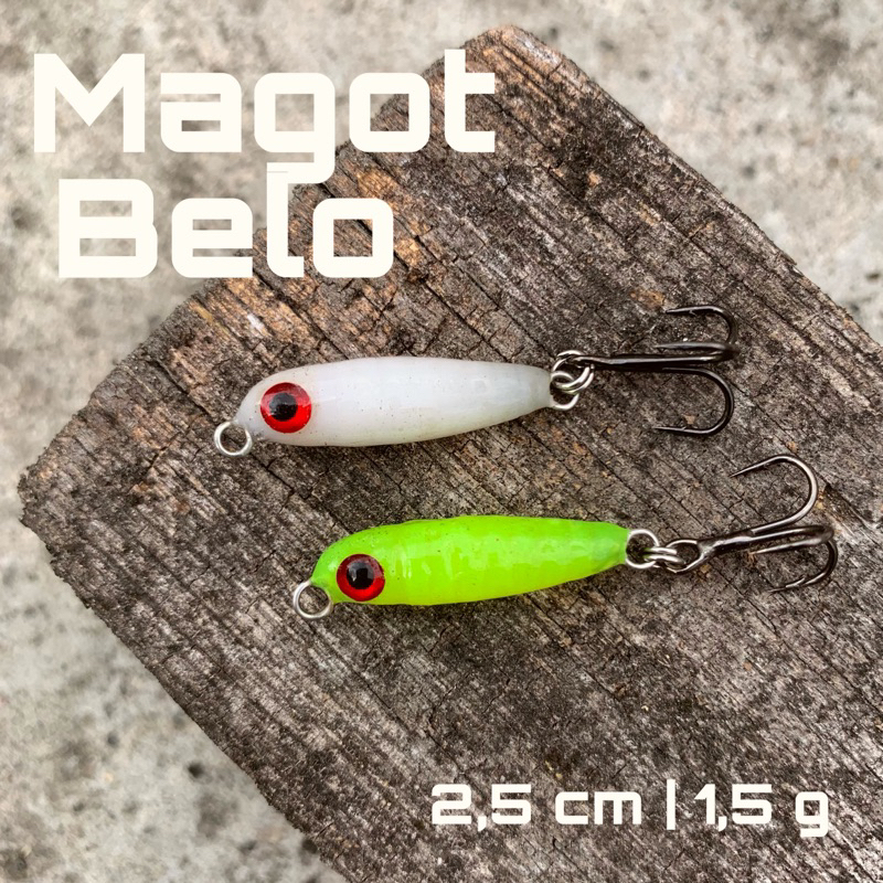 Jual MAGOT BELO | SWIMMER MAGOT | Shopee Indonesia