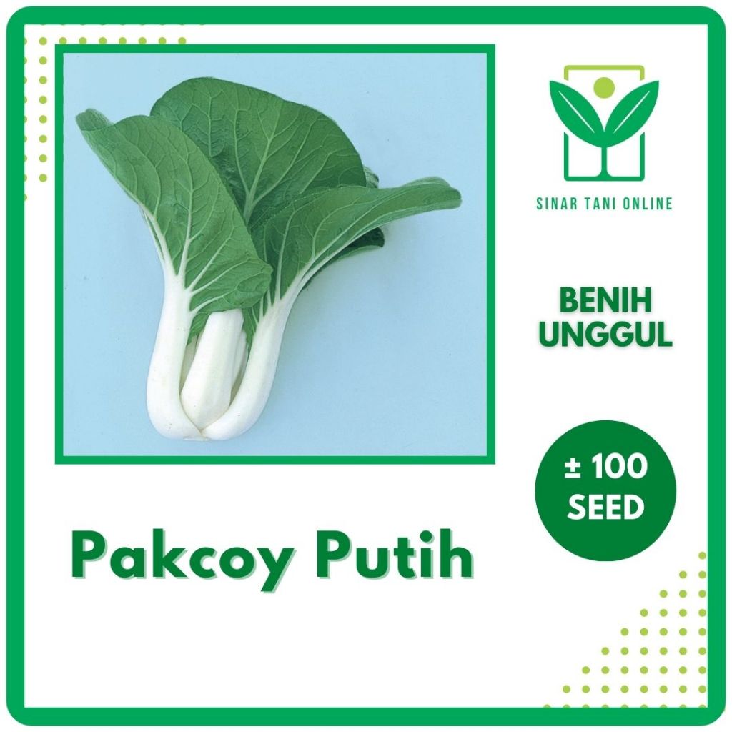 Jual 100 Biji Benih Sawi Pakcoy Batang Putih Bibit Sayur Pak Choy White