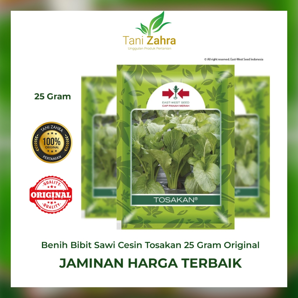 Jual Benih Bibit Sawi Cesin Tosakan 25 Gram Original Cap Panah Merah