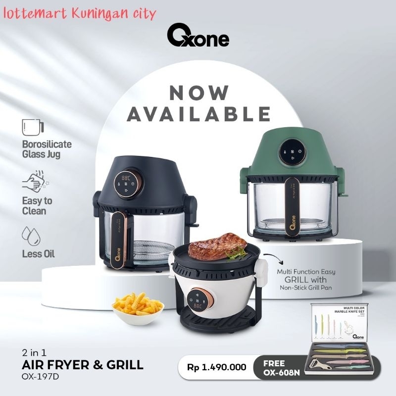 2 in outlet 1 air fryer