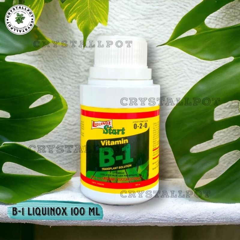 Jual LIQUINOX VITAMIN B1 100 ML HORMON PUPUK CAIR ZPT ORIGINAL KEMASAN ...