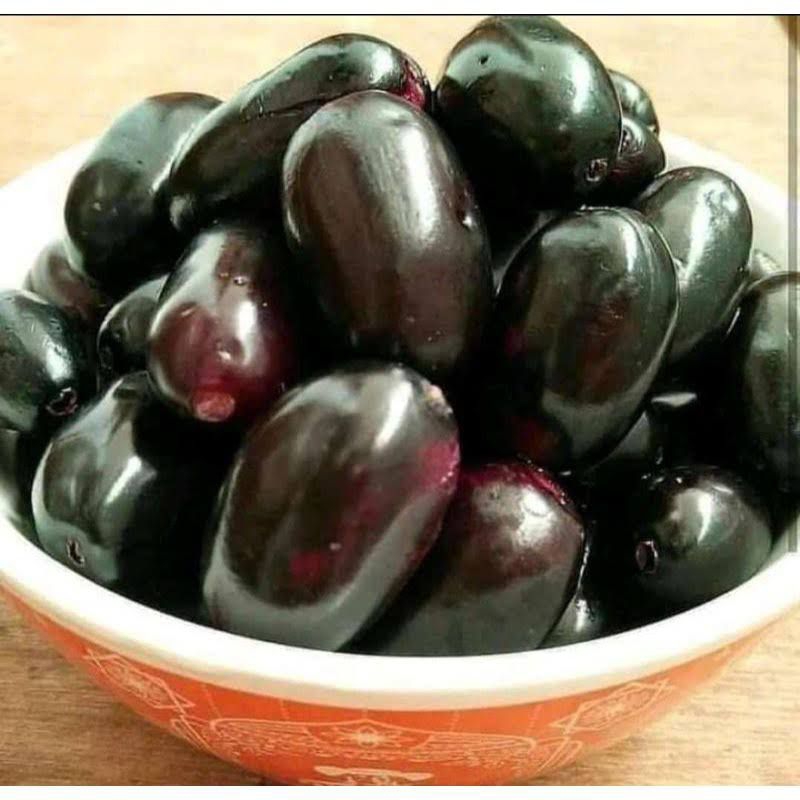 Jual jamblang buah langka - anggur kampung | Shopee Indonesia
