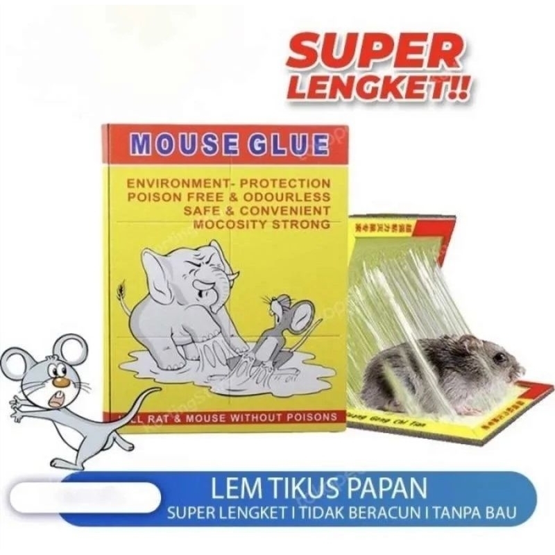 Promo Rolling Bucket Mouse Trap Perangkap Jebakan Tikus Masal Anti Racun  Diskon 17% di Seller Mahanani Store 4 - Cikoko, Kota Jakarta Selatan