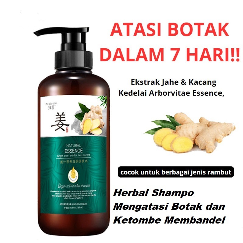 Jual Bpom Ampuh 500ml Shampo Penumbuh Rambut Cepat Ginger Sampo Jahe