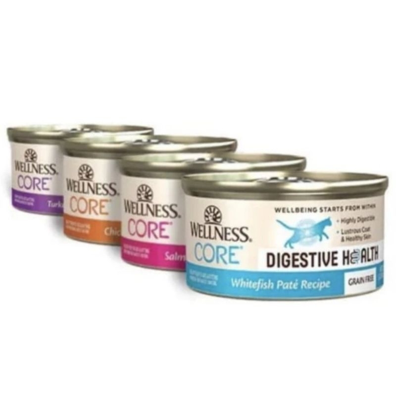 Jual WELLNESS CORE DIGESTIVE HEALTH PATE Recipe CAT FOOD 3oz Makanan