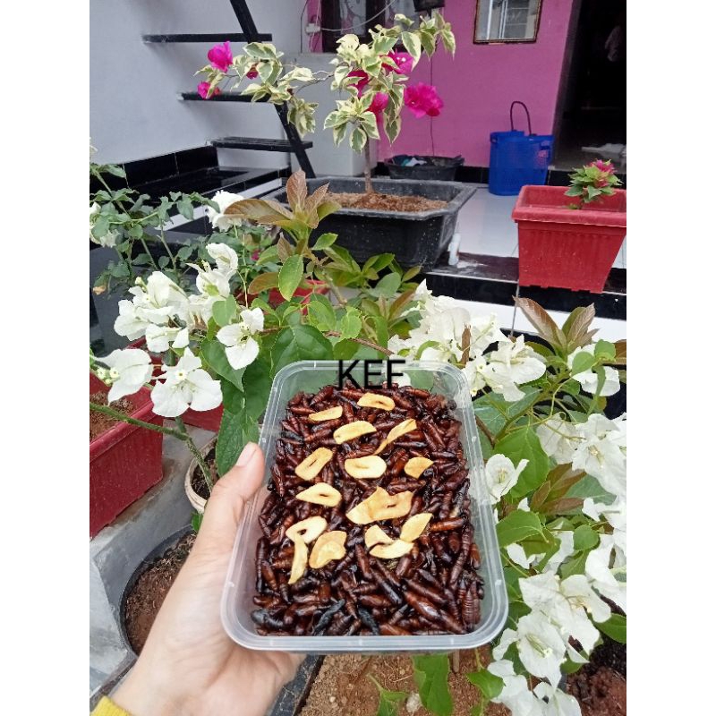 Jual entung jati | Shopee Indonesia